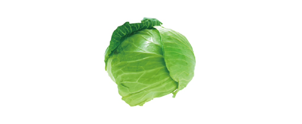 材料画像：キャベツ