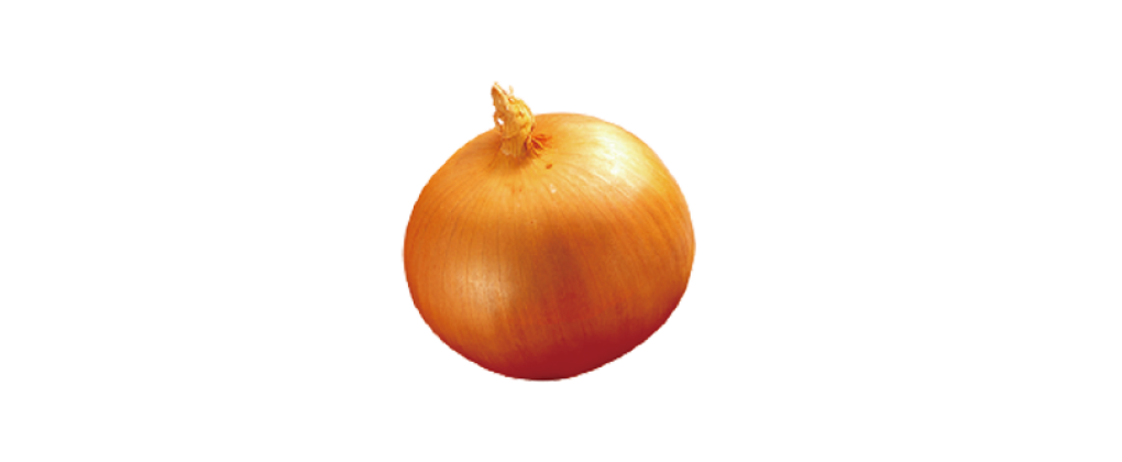 材料画像：玉ねぎ