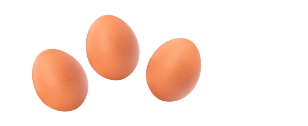 材料画像：卵