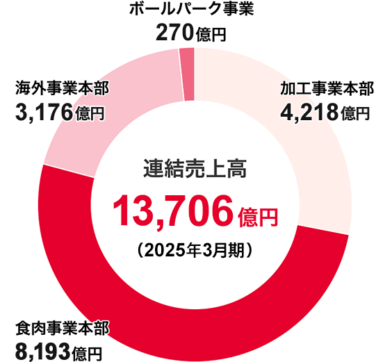 2025年3月期の実績（売上高構成比）