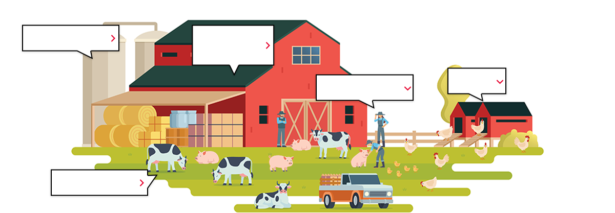 Greenhouse gas, Lack of workers, disease, Livestock Waste