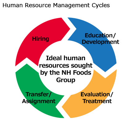 Human Resource Management Cycles