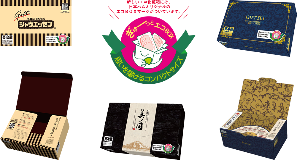 エコ型化粧箱の取り組み ラインナップ