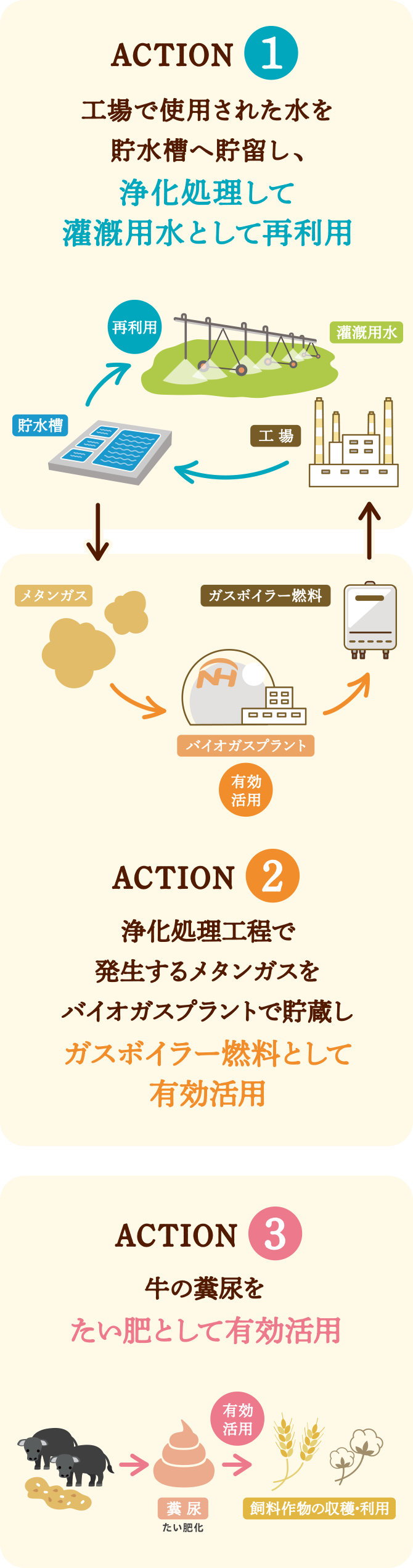 サステナブルな取り組み フロー