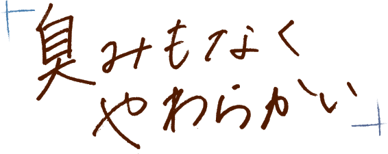 臭みもなくやわらかい