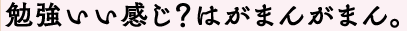 勉強しなさいはがまんがまん。