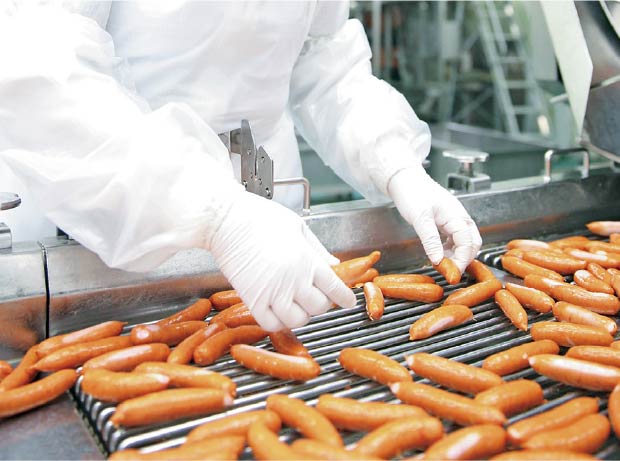 画像：作業・加工の様子