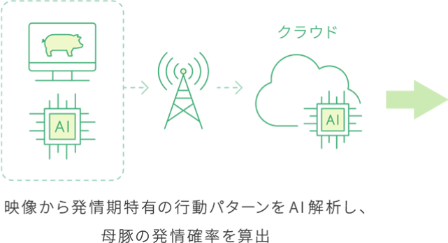 映像から発情期特有の行動パターンをAI解析し、母豚の発情確率を算出