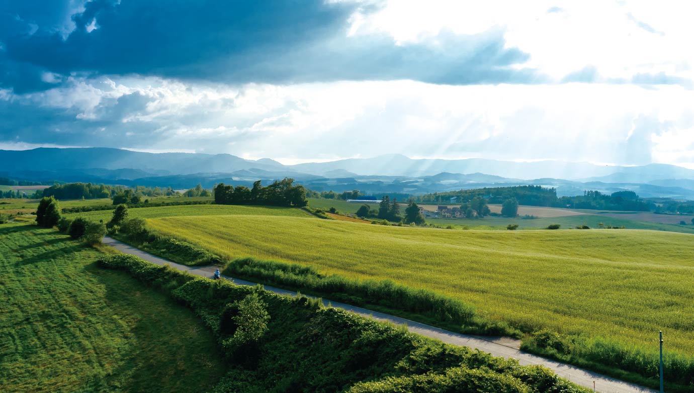 画像：牧場の風景