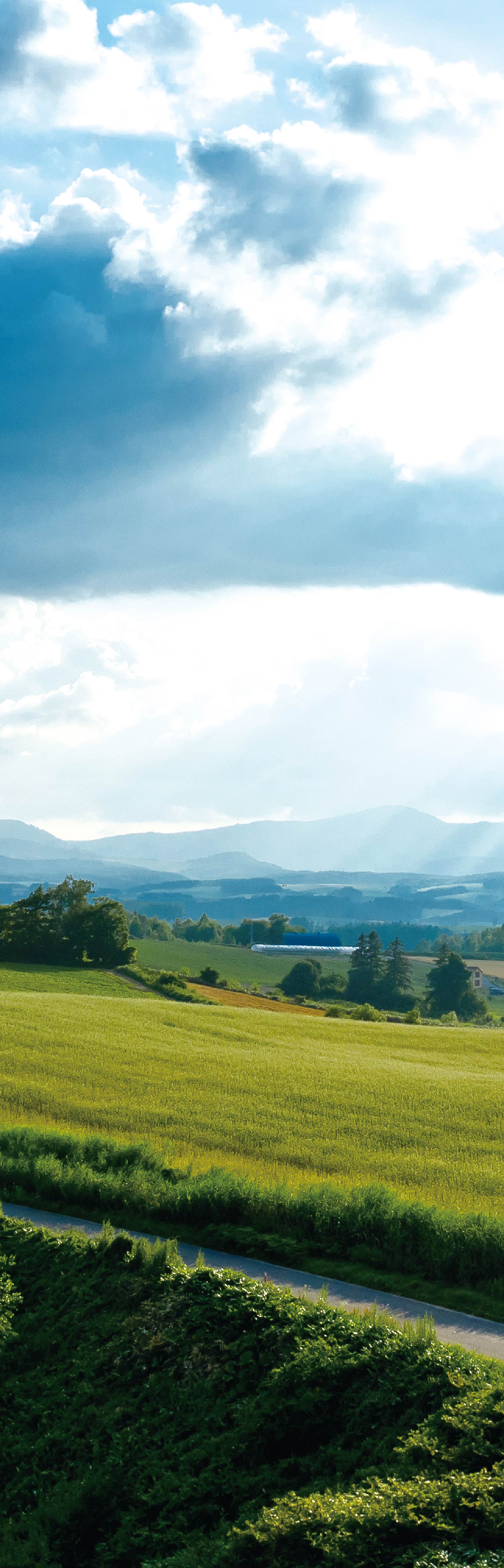 背景画像：牧場の風景